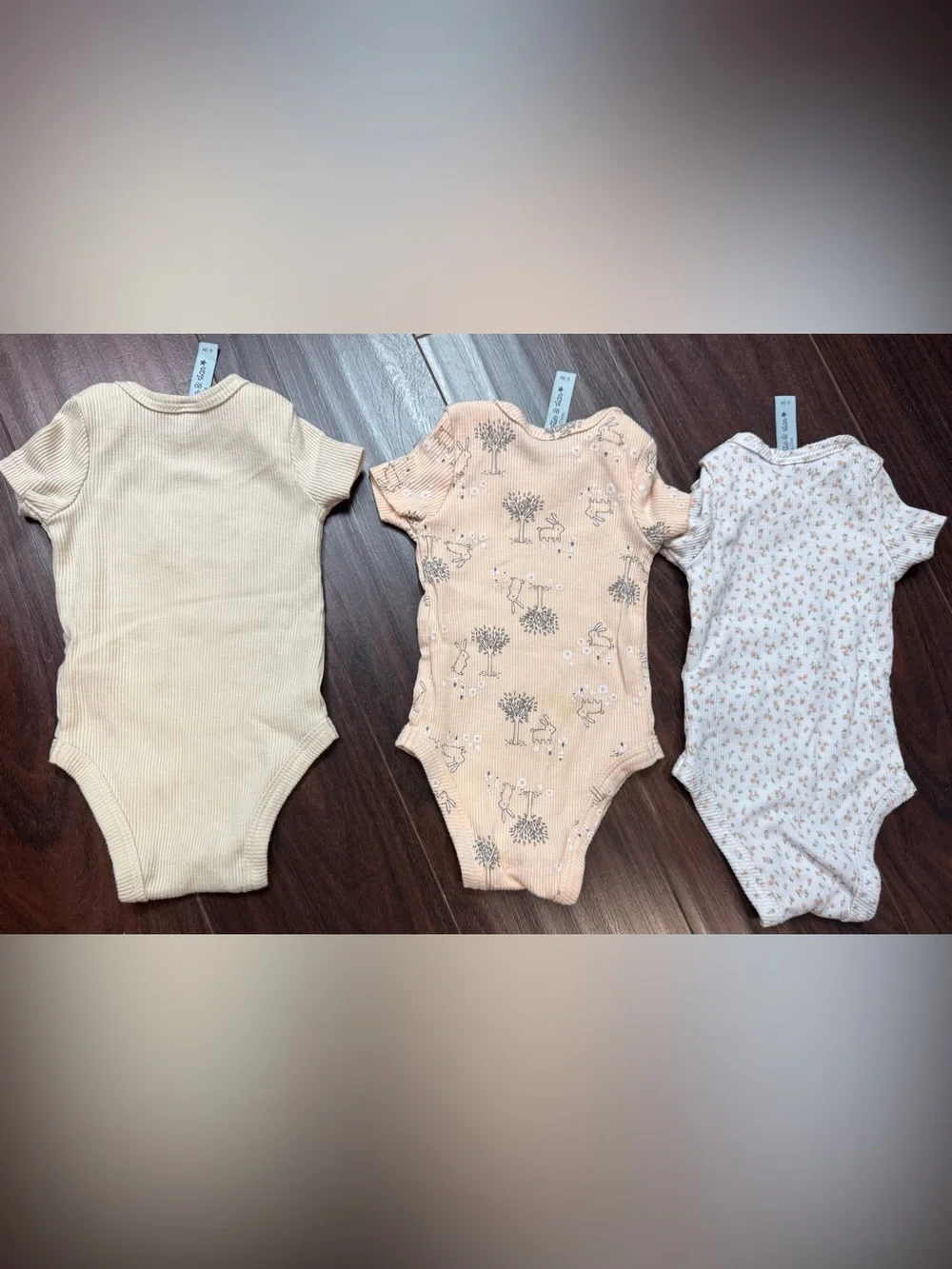 Charlotte & Star easy changes snap